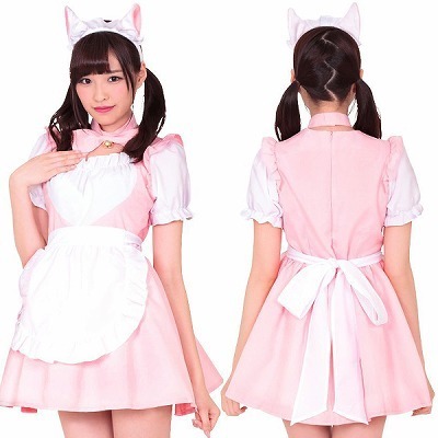 �����������C�h�i�R�X�`���[���j