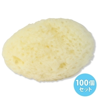 �V�R�C�ȁ@��T�����@�i�P�O�O����j�i�Ɩ��p�i�j