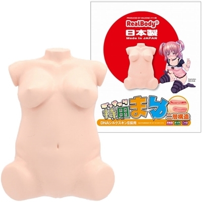 ���{�����A���{�f�B�{�R�c�{�[���V�X�e���@�i�ۂ�����莝�c�܂�j�@��w�\���i���u�h�[���j