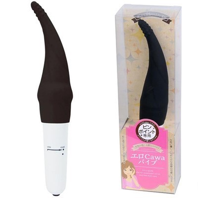 �G���b�������o�C�u�@�i�s���|�C���g�@�u���b�N�j�i�o�C�u�j