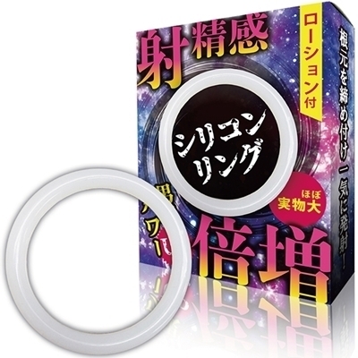 �ː����{���@�i�V���R�������O�j�i�j���⏕�O�b�Y�j