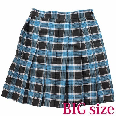 �`�F�b�N���v���[�c�X�J�[�g�@�a�h�f�i�R�X�`���[���j