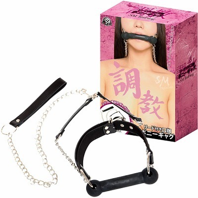 �����@���[�h�t�����g�@�i�|�j�[�M���O�j�iSM�E�S����j