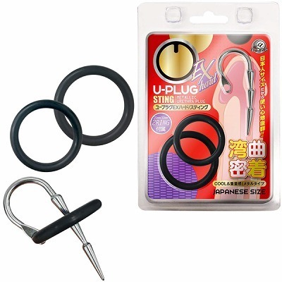 �t�|�v���O�@�d�w�n�[�h�@�i�X�e�B���O�j�iSM�E�S����j