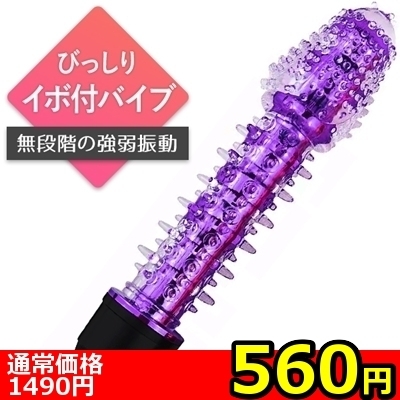 �y�T�U�O�~�����ʌ���z�����ڃX�e�B�b�N�o�C�u�@�u�C�J�������X�^�[�v�@�p�[�v���i�����������i�j