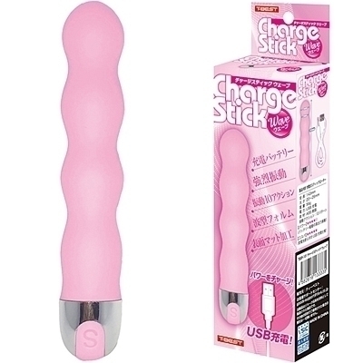 �`���[�W�X�e�B�b�N�@�i�E�F�[�u�j�i�o�C�u�j