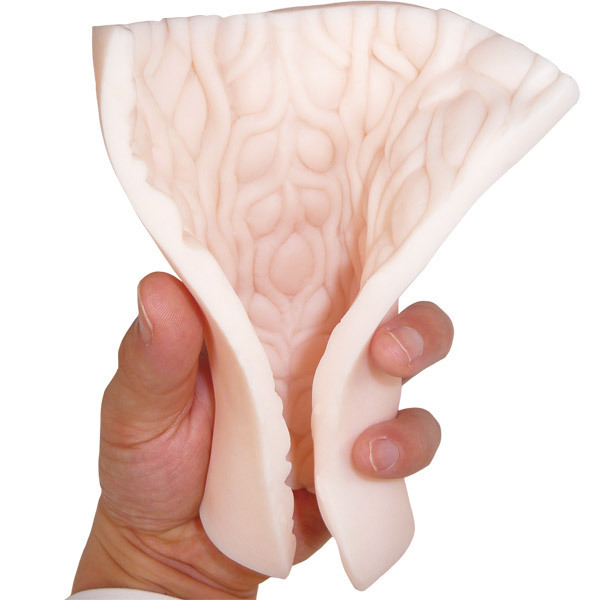 �I�i�V�[�@�l�n�m�r�s�d�q�@�i�f�j