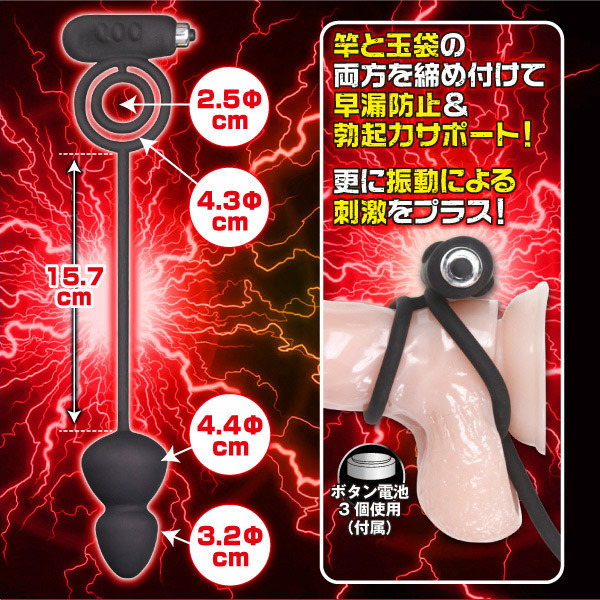 �o�C�u���[�V���������O�@���������@�A�i���v���O�@�i�r�b�O�j