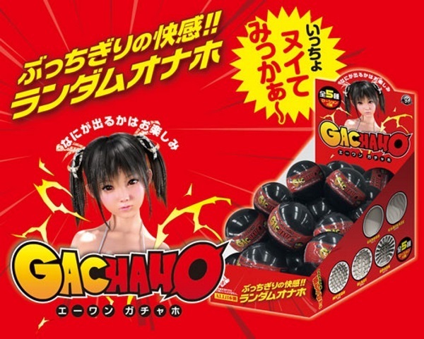 �G�[�����K�`���z�a�n�w�@�Q�T�Z�b�g