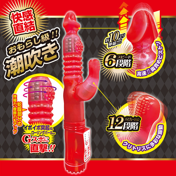 �V�I�t�L���O�@�i�o�j