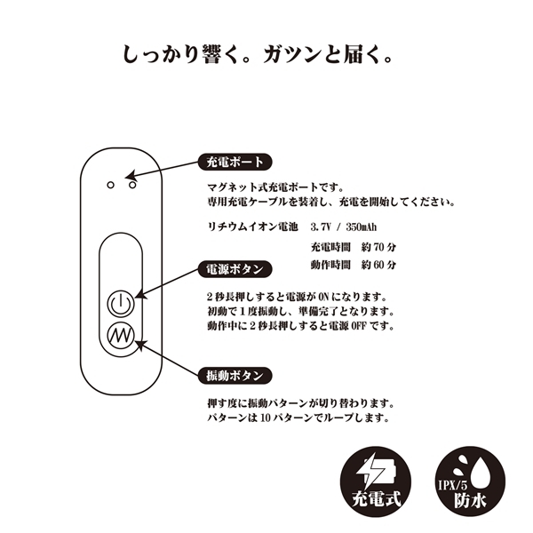 �{�X�@�V���R���r�[�Y�o�C�u