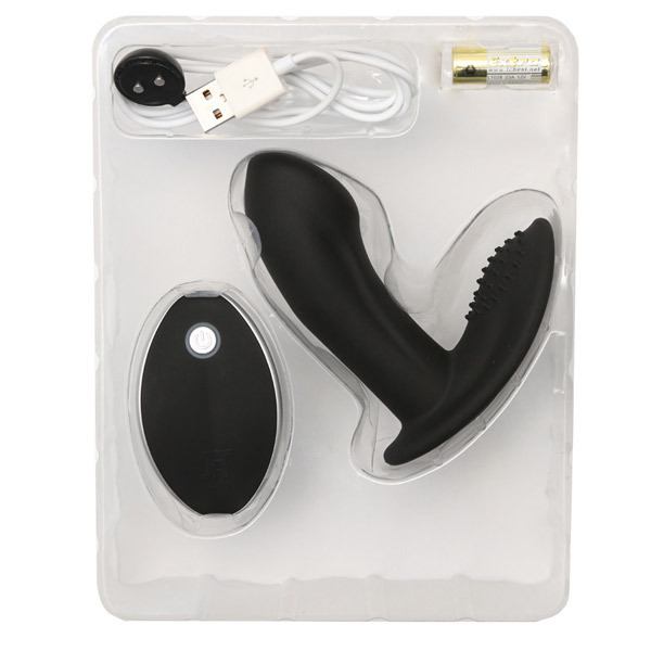 ���������@�f�i�l���@�W�[�j�@�u���b�N